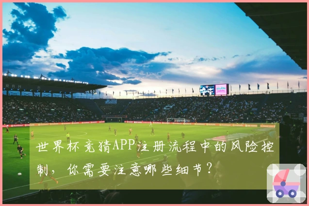 世界杯竞猜APP注册流程中的风险控制，你需要注意哪些细节？