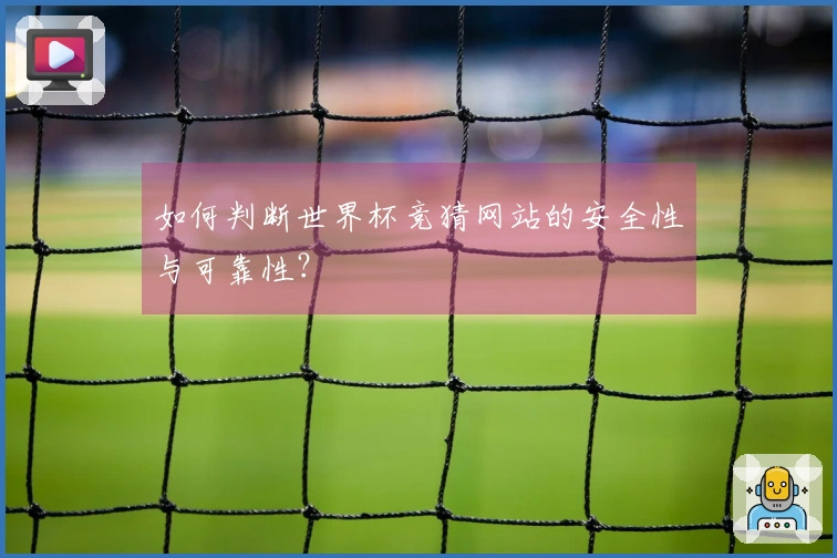 如何判断世界杯竞猜网站的安全性与可靠性？