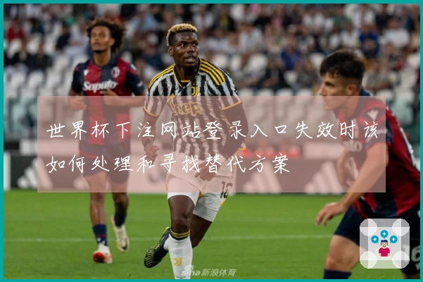 世界杯下注网站登录入口失效时该如何处理和寻找替代方案