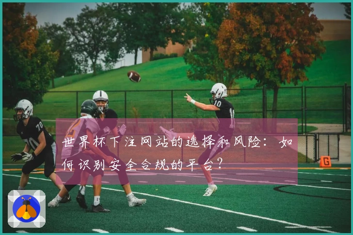 世界杯下注网站的选择和风险：如何识别安全合规的平台？