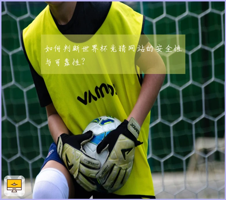 如何判断世界杯竞猜网站的安全性与可靠性?