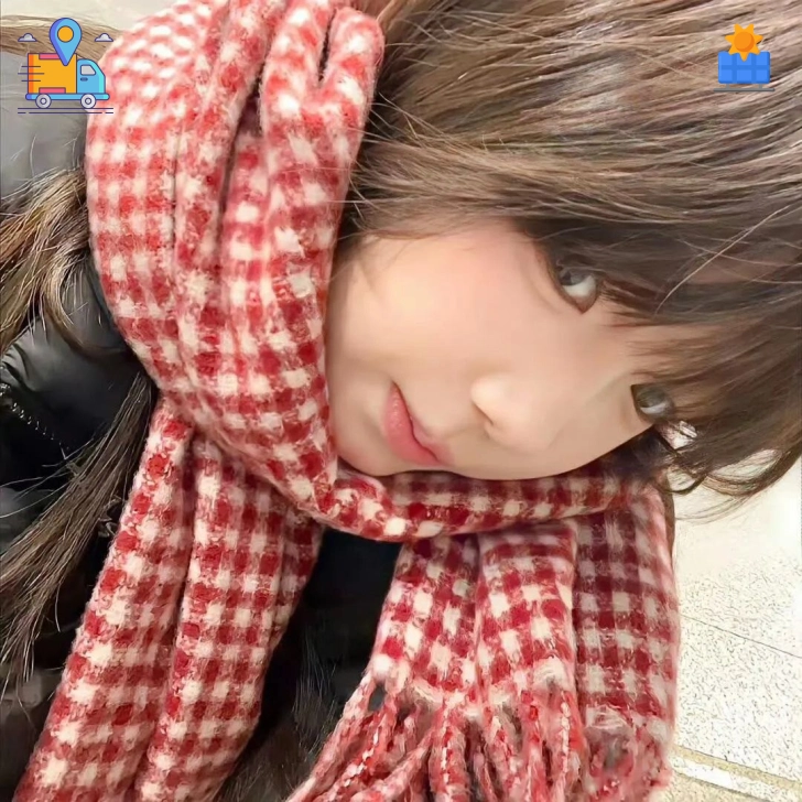 苏宁女士